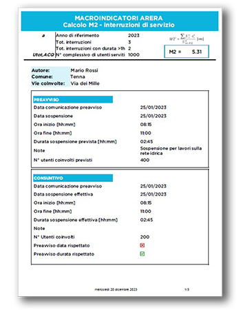 Report ARERA M2